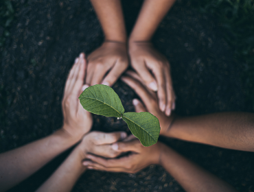 Environmental Protection